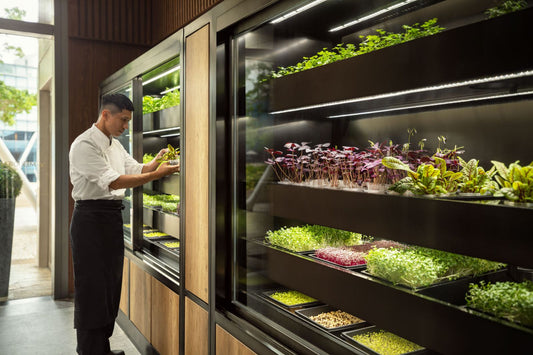 Hydroponic Garden For Restaurant Kitchen!